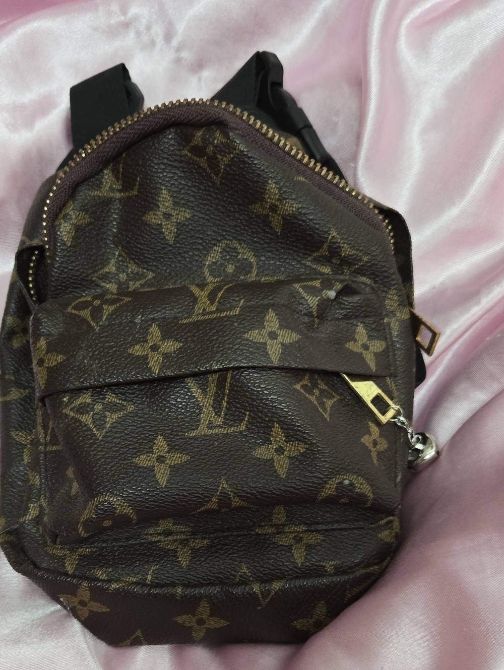 Dog Louis Pawtton Monogram Mini Sling Bag - Brown with Gold Hardware